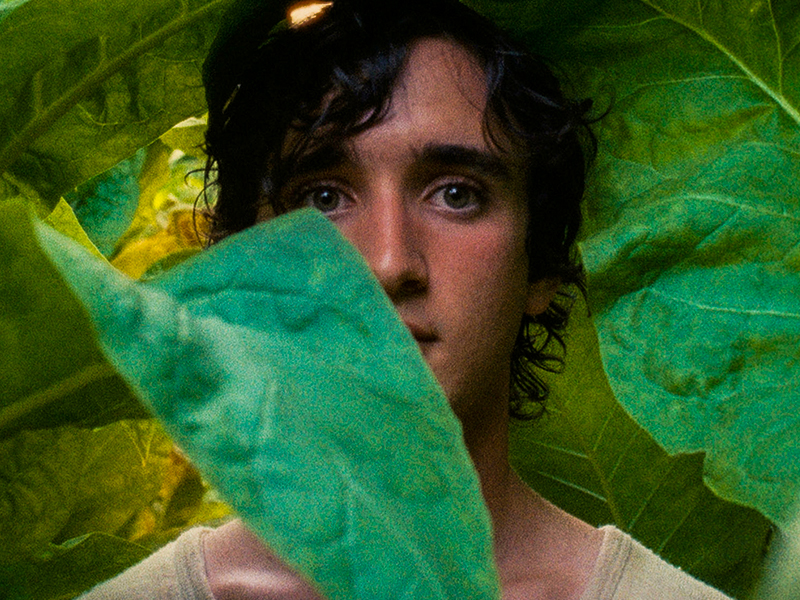Happy as Lazzaro